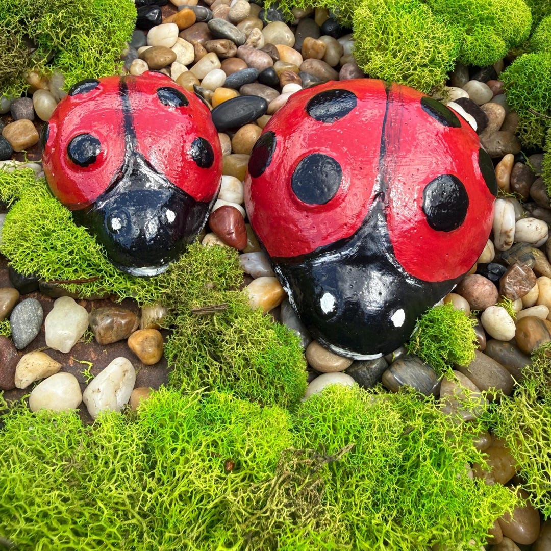 Set of 2 Concrete Ladybug Figurines, Ladybug Statue, Ladybug Garden ...