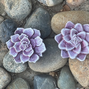 Set of 2 Concrete Flowers, Flower garden, Flower statue, Patio Accent, Garden Ornament, table display, pond decor, shelf decor, garden décor