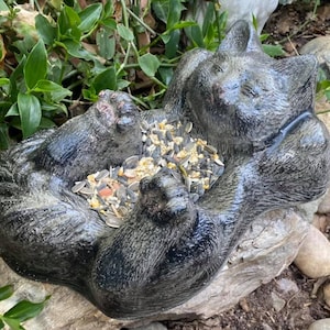 May include: A gray cat-shaped bird feeder filled with birdseed. The feeder is made of stone and has a textured surface. The cat is lying down with its paws curled around the bowl. The feeder is surrounded by green plants and rocks.