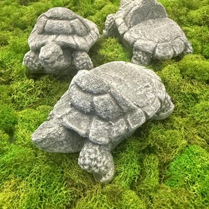 Tortoise pot feet, Set of 3 or 4, Pot Risers, 4”x3”x2.5”, Plant Pot Feet, Pot Decor, Turtle Decor, Turtle Garden, Pot Decor, Planter Feet