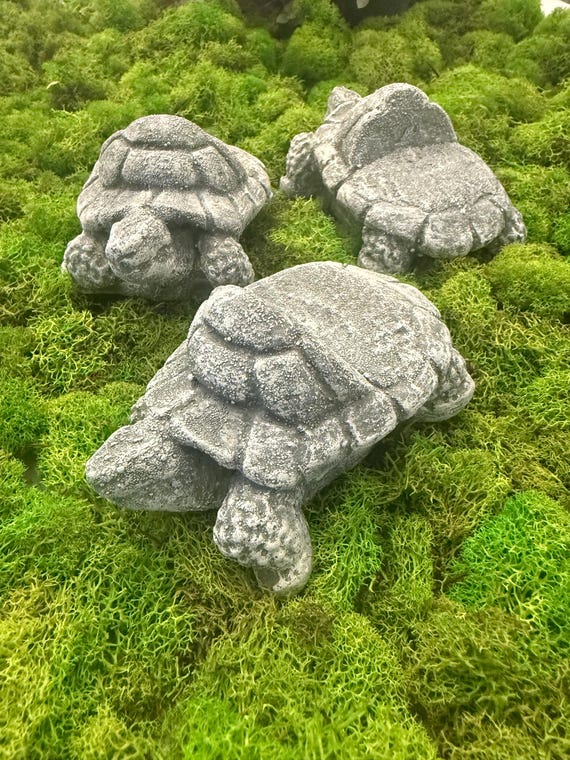 Tortoise Pot Feet, Set of 3 or 4, Pot Risers, 4x3x2.5, Plant Pot Feet,  Pot Decor, Turtle Decor, Turtle Garden, Pot Decor, Planter Feet - Etsy