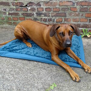 Outdoor Hundedecke für unterwegs wasserabweisend, gepolstert in 3 Größen,Petrol Bild 3