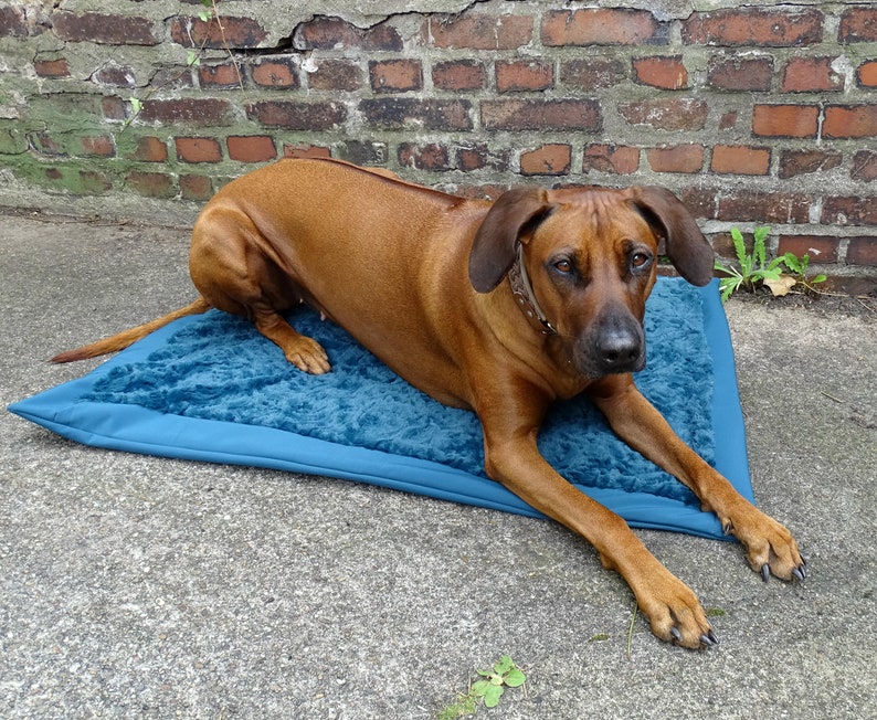 Outdoor Hundedecke für unterwegs wasserabweisend, gepolstert in 3 Größen,Petrol Bild 3