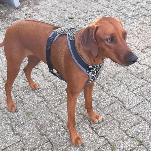 Padded dog harness, handmade gray black, customizable