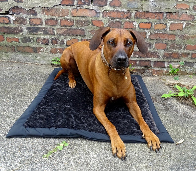 Outdoor Hundedecke für unterwegs wasserabweisend, gepolstert in 3 Größen Bild 3