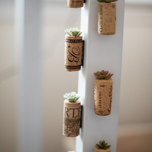 Puede incluir: Una pared blanca con siete pequeñas suculentas en macetas unidas con imanes. Las macetas están hechas de corchos de vino con etiquetas de diferentes bodegas. Las etiquetas incluyen "SIMI", "CLOS BOIS", "SALUDI", "Campo Viejo", "RTH" y "Classic Green".