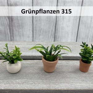 Könnte beinhalten: Drei Topfpflanzen, eine in einem weißen Topf und zwei in Terrakotta-Töpfen. Die Pflanzen sind grün und belaubt. Das Bild ist mit "Grünpflanzen 315" beschriftet.