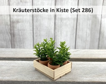 Miniatur Kräutertöpfe in Holzkiste (Set 286) • Mini Kräuter • Wichtel Garten • Wichtel Zubehör • Gartenfee • Feengarten •  Miniatur Kräuter