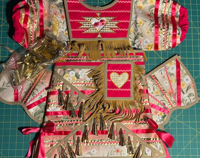 Childrens Size Medium, 67, Jingle Dress Set. Dress, 50 Gold Cones