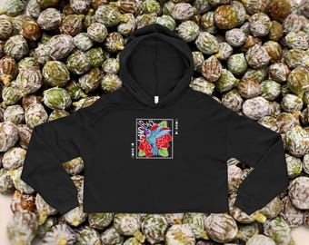 Land Back Hummingbird Cropped Hoodie | Native Art, Indigenous Owned
