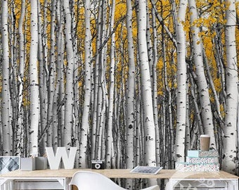 Yellow Birch Forest Wallpaper Mural - American Style Peel and Stick