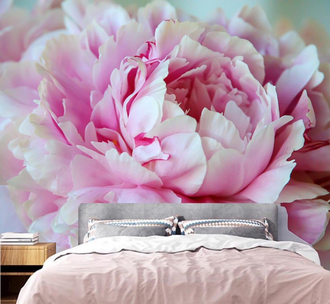 Pink Peony Floral Wallpaper Mural: Peel and Stick - Etsy
