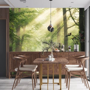 Sunlight Forest Wallpaper Mural: Peel and Stick Home Decor