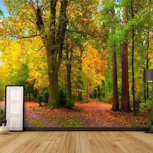 Autumn Forest Wallpaper Mural: Peel and Stick Landscape Wall Art