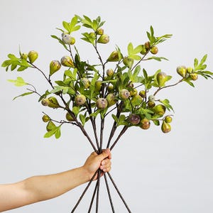 May include: A bunch of artificial fig branches with green leaves and unripe figs. The figs are a mix of green and purple, and the branches are held together. The color scheme is green, brown, and purple.