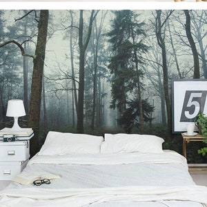 Jungle Forest Wallpaper, Huge Big Trees Wall Mural, Living Room or Dinning Room Wallpaper