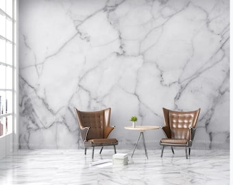 Puede incluir: Dos sillones de cuero marrón con patas de metal negro, una mesa redonda pequeña con una planta en maceta y una pared de mármol blanco en el fondo.