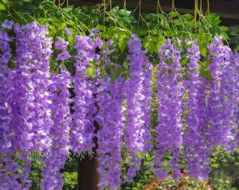 12 Pieces Artificial Wisteria Vine: Violet Silk Flowers for Ceiling, Wedding & Decoration