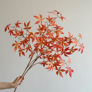 May include: A bundle of artificial maple leaves in shades of red and orange. The leaves are arranged on thin, brown stems, creating a natural and vibrant display. The leaves have a five-pointed shape, and the overall effect is reminiscent of autumn foliage.