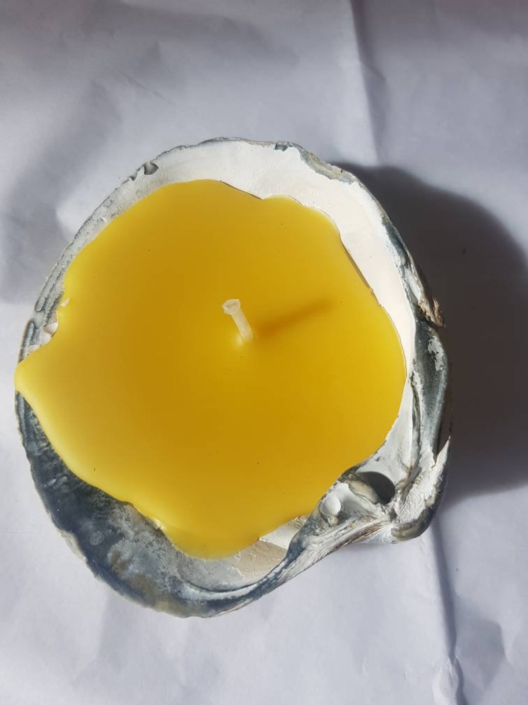 Beeswax Candles in Oyster Shell. Made With Pure Beeswax Etsy