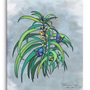 May include: A canvas print featuring a botanical illustration of a plant with long, green and yellow leaves, yellow berries, and blue butterflies. The artwork is set against a soft, gray background. Signed "Mahina 2024".