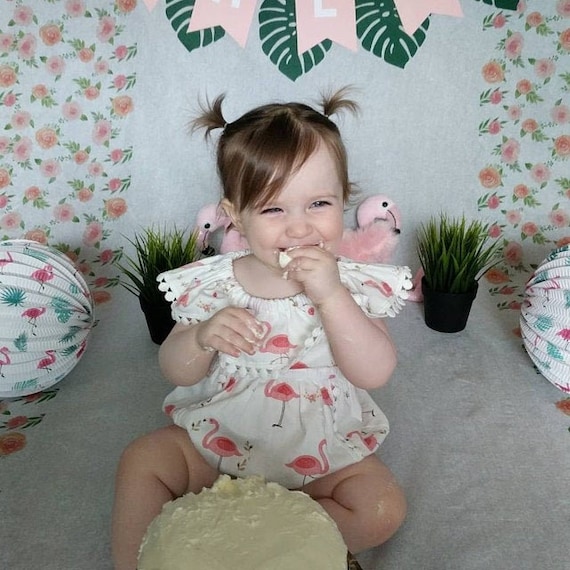 Baby Girl  Flamingo Print Pink Flutter-sleeve Snap Romper