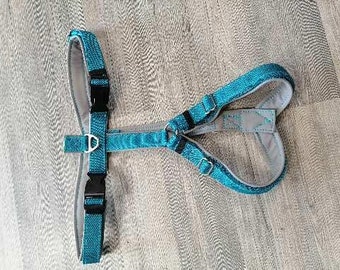 Webbing harness with 2 rings chest harness