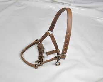 Colt Halter Leather Halter Black or brown