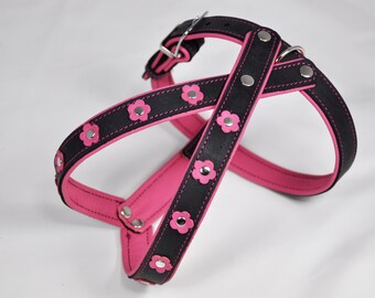 Dog harness Flowers " Flower Power " X Harness