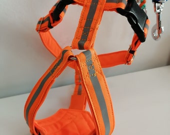 Safety harness in different colors orange, blue, red, pink, yellow, black