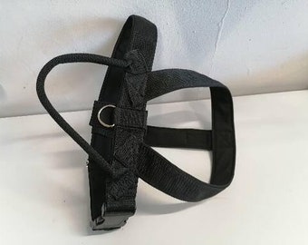 Chest harness with handle and 3 rings