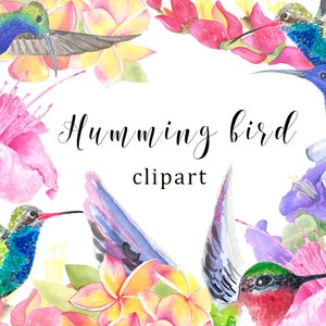 Hummingbird clipart, Flowers clipart, Watercolor clipart, Logo floral, Flowers, Humming bird, Birdies, Postcards, Gifts, Souvenirs, Décor
