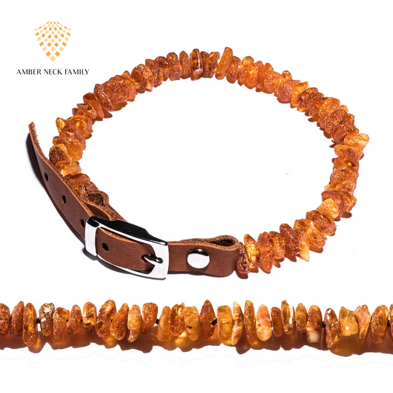 Baltic Amber Collar for Dogs and Cats. Best Natural Protection Etsy