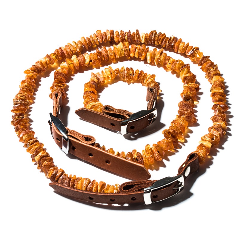 Baltic Amber Collar for Dogs and Cats. Best Natural Protection Etsy