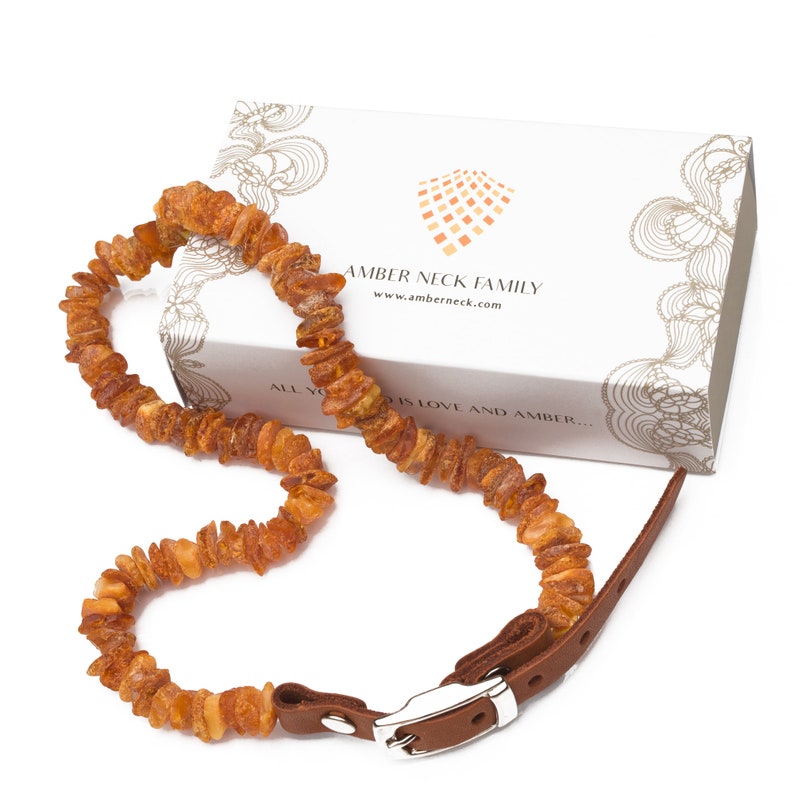 Baltic Amber Collar for Dogs and Cats. Best Natural Protection Etsy