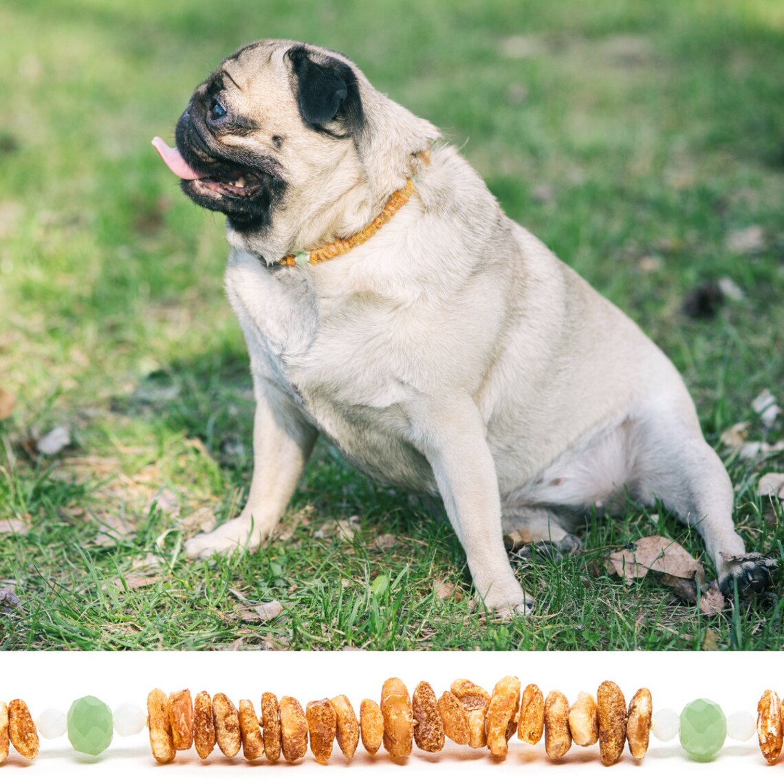 Bernstein Halsband für Hund und Katze natürlicher Schutz vor Etsy