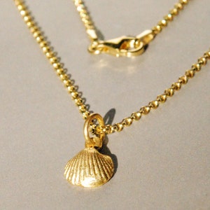 Shell pendant with chain, silver/gold-plated, maritime jewelry, beachcombing jewelry