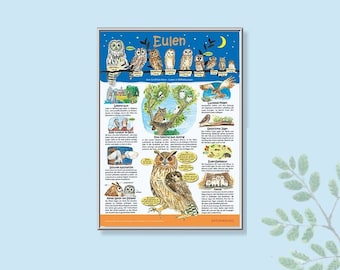 Owls learning poster A3 for children and school