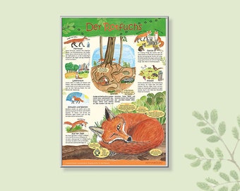 Fox learning poster A3 for children, school and family