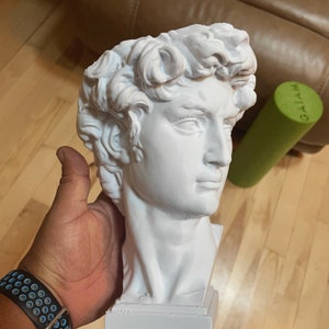 May include: White plaster sculpture of a man's head and shoulders, resembling the famous statue of David. The sculpture is on a white base.