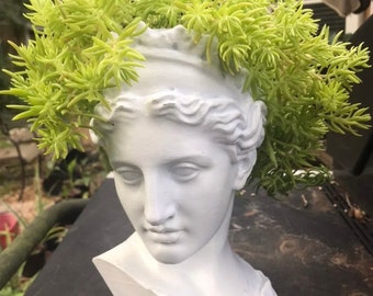 Artemis / Diana goddess planter/ base / pot for plants / succulents / or airplants