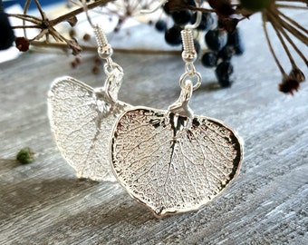 Boucles d’oreilles aux feuilles d’eucalyptus, vraies feuilles en argent, vraies bijoux en feuilles naturelles, boucles d’oreilles botaniques