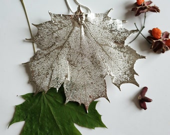 Collana con acero canadese grande, vera foglia in argento, real maple leaf in silver , botanical jewelry, echte blatt