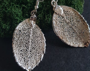 Rose Leaf  earrings in rhodium plated silver