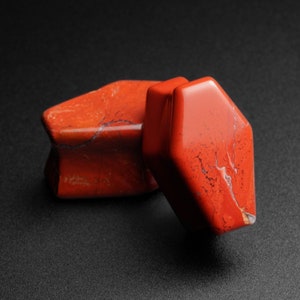 May include: Two red jasper stone plugs with a geometric shape. The plugs have a polished surface with natural veining and imperfections. The background is a solid black.