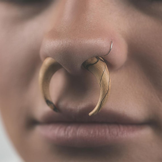 Pinza per dilatatori finti in legno di tamarindo per lobi forati