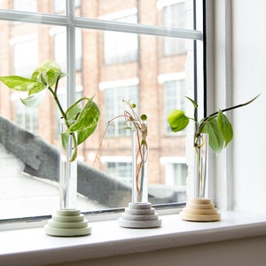 Marble finish plants propagator / mini vase from Scala collection by Extra&ordinary design image 4