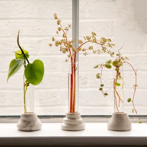 Plants propagator / mini vase from Gravity collection by Extra&ordinary design