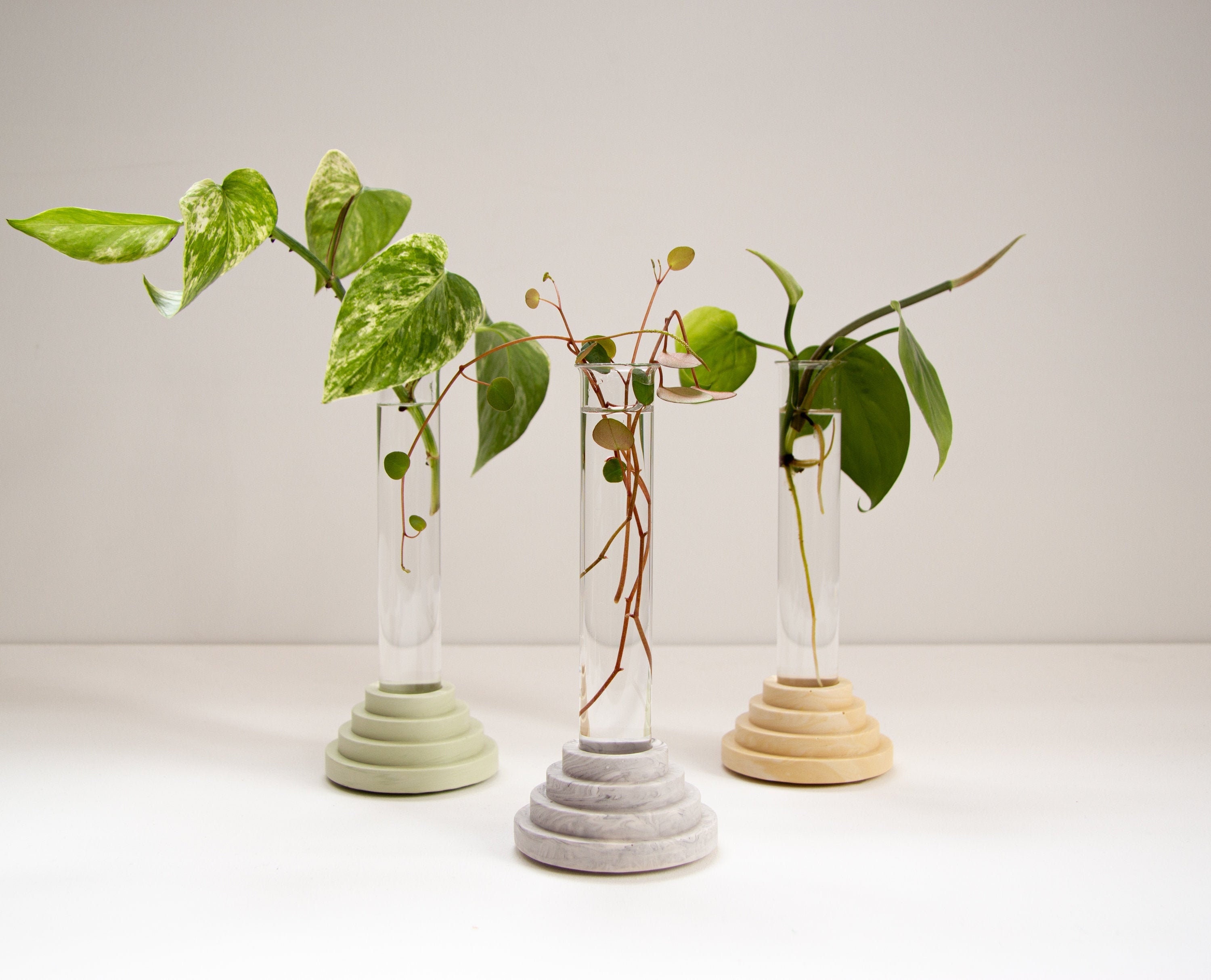 Propagateur de Plantes Finition en Marbre/Mini Vase La Collection Scala Par Conception Extra-Ordinai