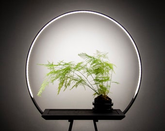 Smart grow / display floor lamp by Massimo Cappella